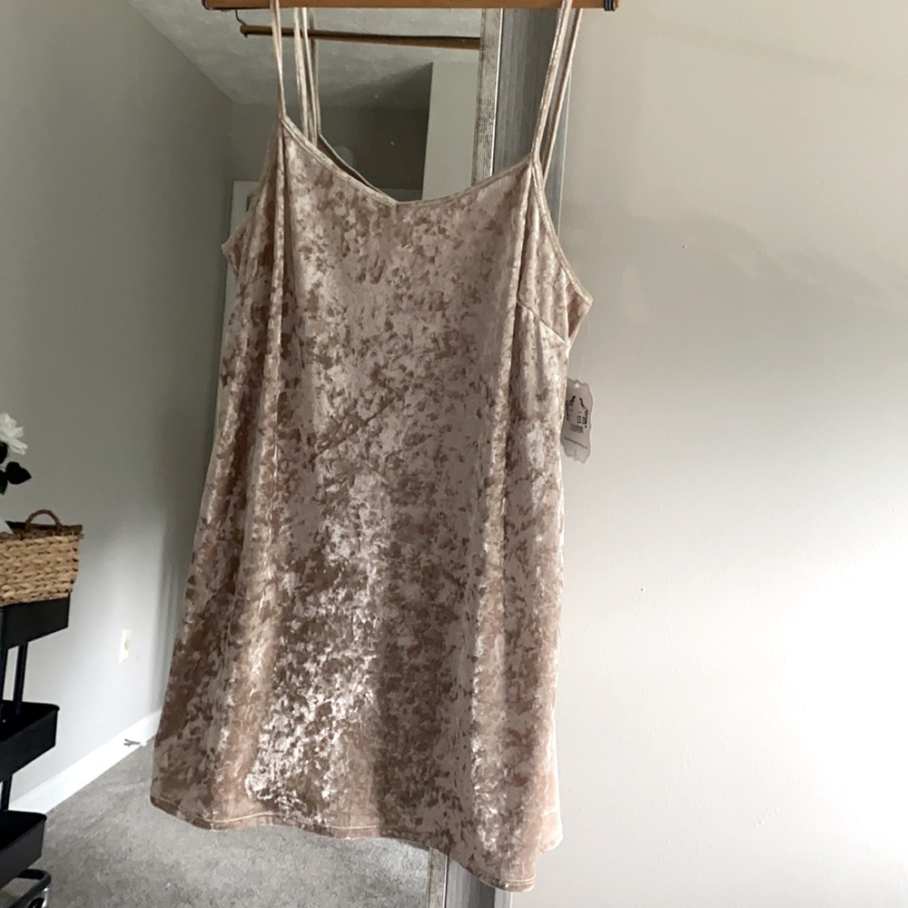 Entourage Tan Velvet Dress